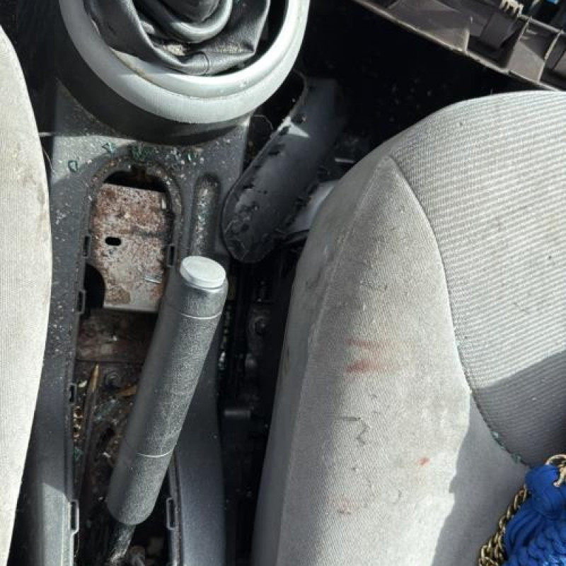 Arret de porte avant droit CITROEN C3 1 Photo n°20