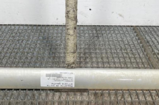 Baguette de porte arriere gauche  CITROEN C3 1 Photo n°1