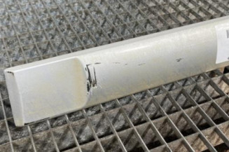 Baguette de porte arriere gauche  CITROEN C3 1