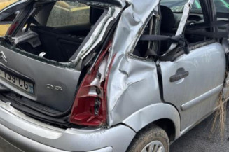 Baguette de porte arriere gauche  CITROEN C3 1