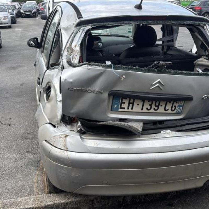 Baguette de porte arriere gauche  CITROEN C3 1 Photo n°9