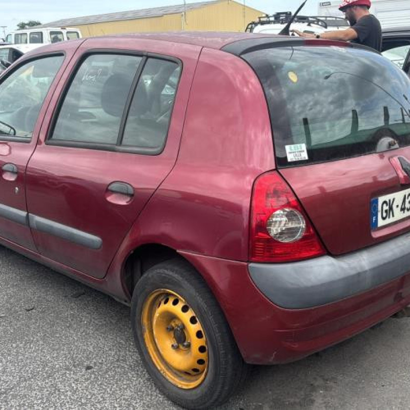 Porte avant gauche RENAULT CLIO 2 Photo n°10