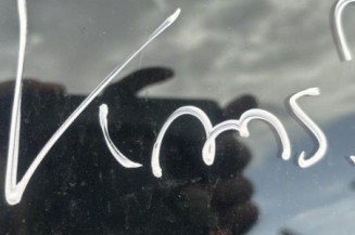 Porte avant gauche RENAULT CLIO 2