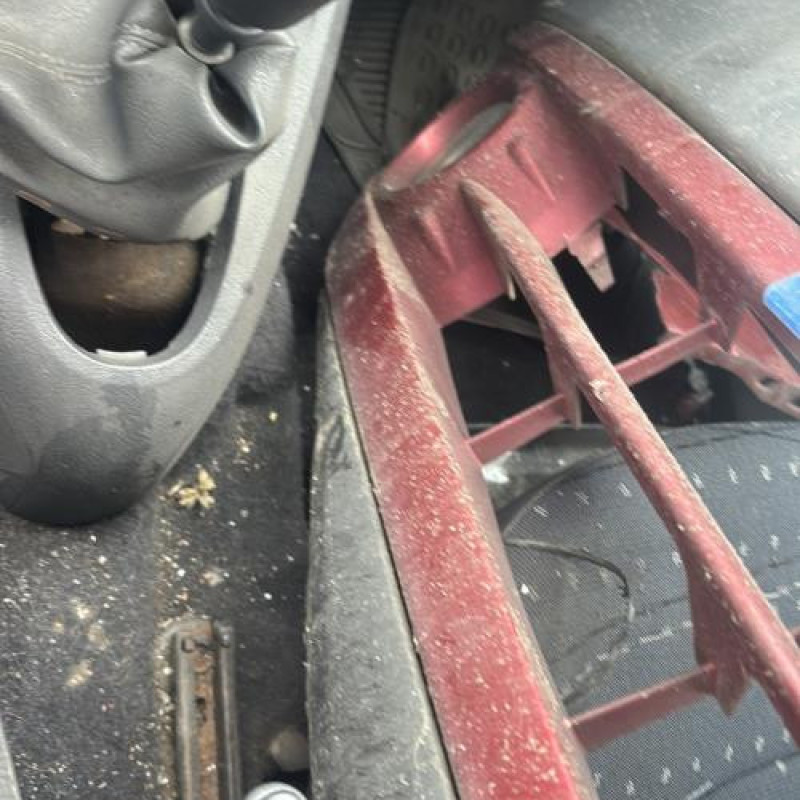 Porte avant gauche RENAULT CLIO 2 Photo n°19