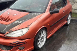 Bouton de warning PEUGEOT 206