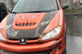 Bouton de warning PEUGEOT 206