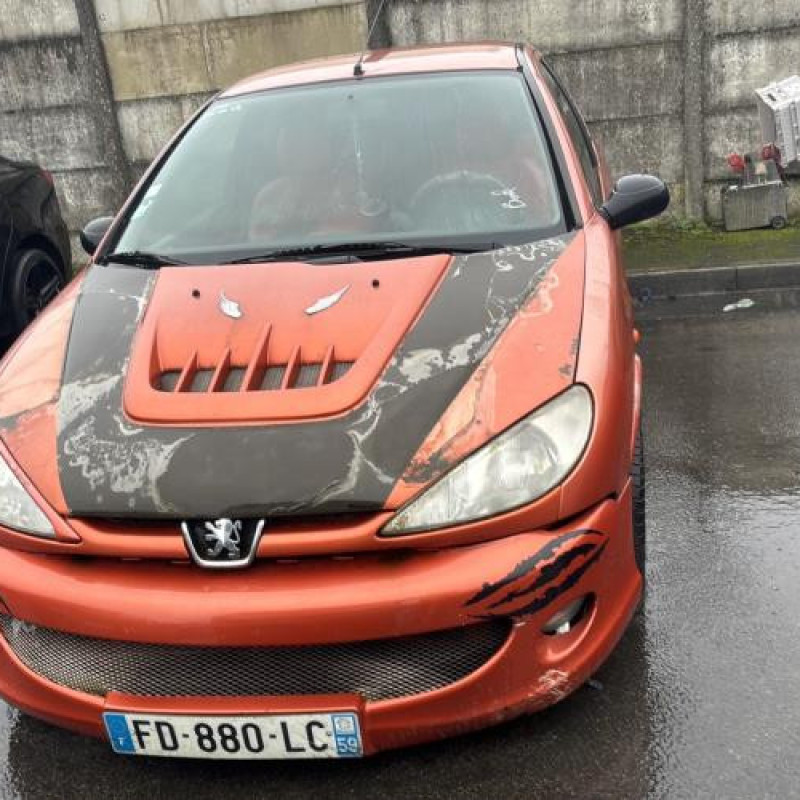 Bouton de warning PEUGEOT 206 Photo n°11
