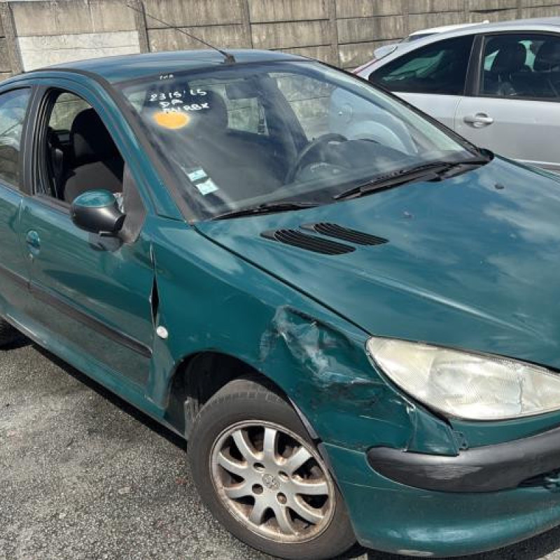 Porte avant gauche PEUGEOT 206 Photo n°8