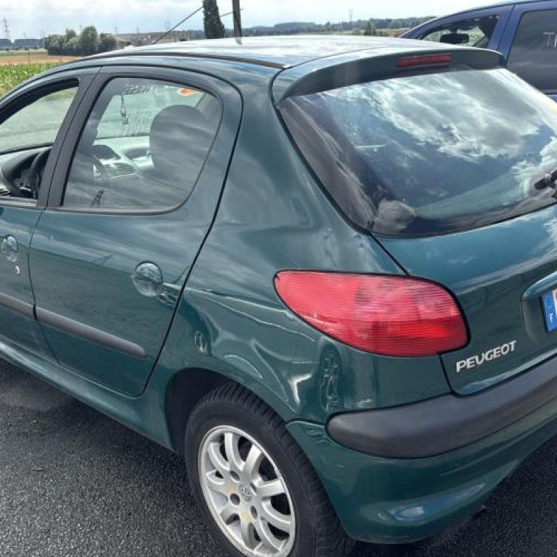 Porte avant gauche PEUGEOT 206 Photo n°10