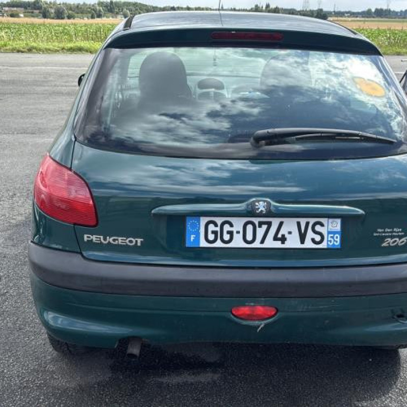 Porte avant gauche PEUGEOT 206 Photo n°11