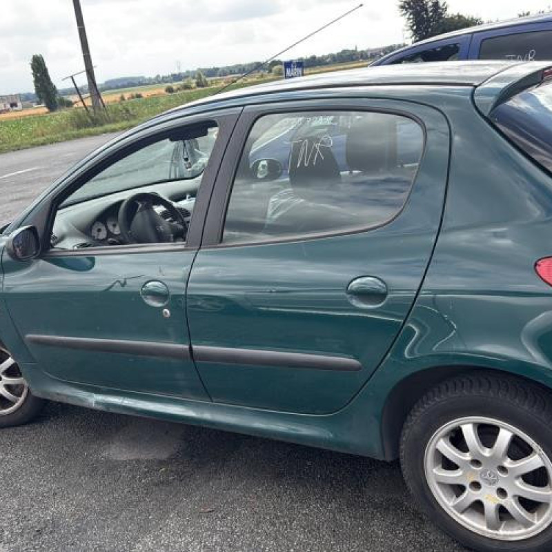 Porte avant gauche PEUGEOT 206 Photo n°12