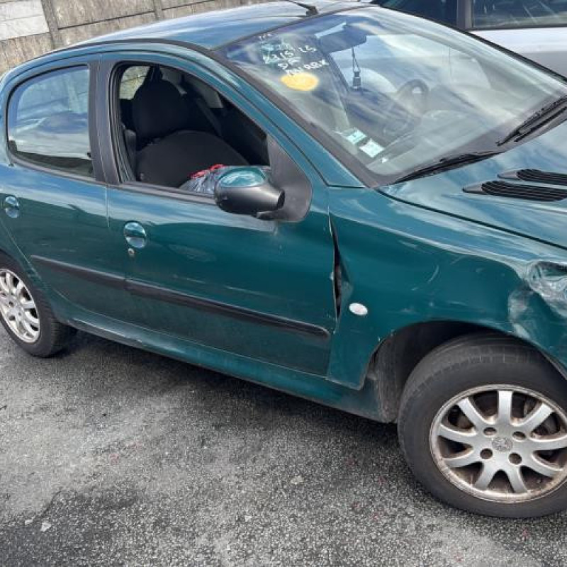 Porte avant gauche PEUGEOT 206 Photo n°13