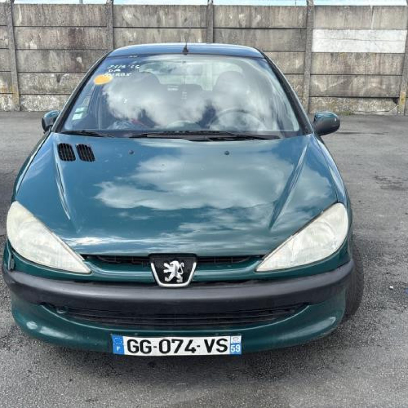 Porte avant gauche PEUGEOT 206 Photo n°14