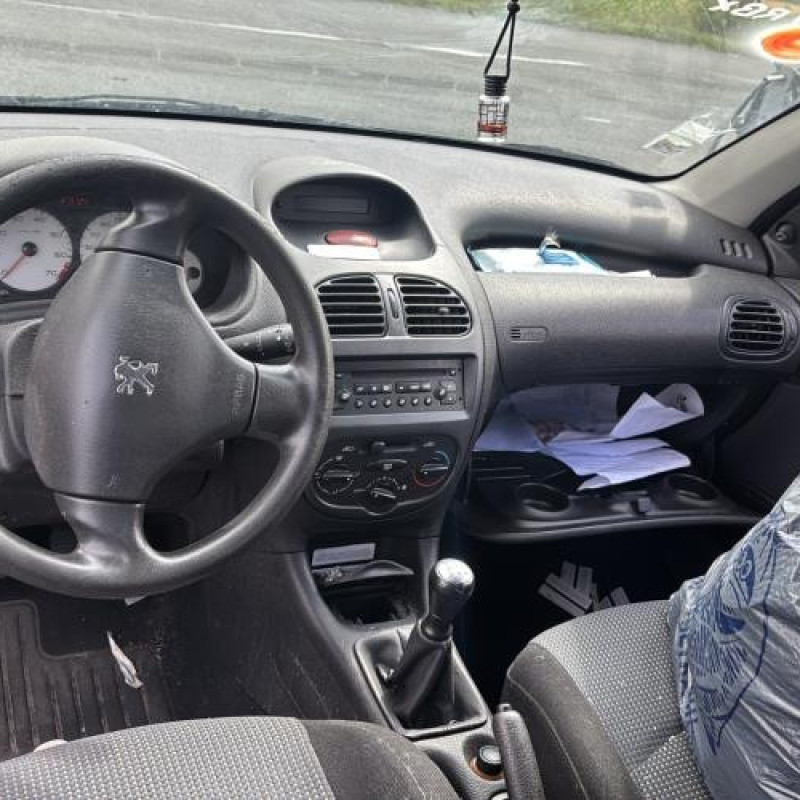 Porte avant gauche PEUGEOT 206 Photo n°18