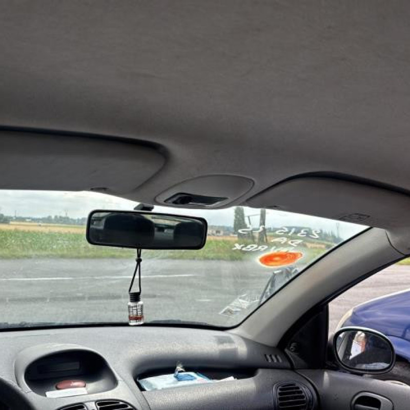 Porte avant gauche PEUGEOT 206 Photo n°19