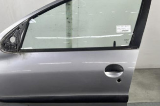 Porte avant gauche PEUGEOT 206 Photo n°1