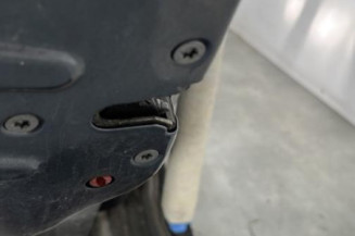 Porte arriere gauche PEUGEOT 206