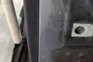 Porte arriere gauche PEUGEOT 206