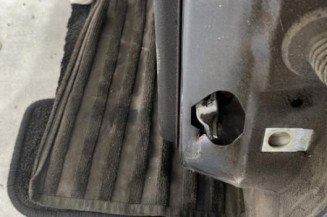 Porte arriere gauche PEUGEOT 206