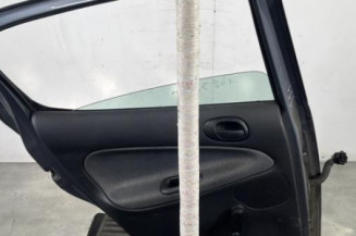 Porte arriere gauche PEUGEOT 206