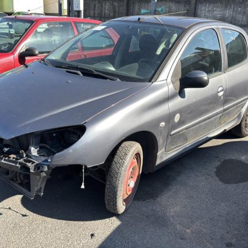 Porte arriere gauche PEUGEOT 206 Photo n°7