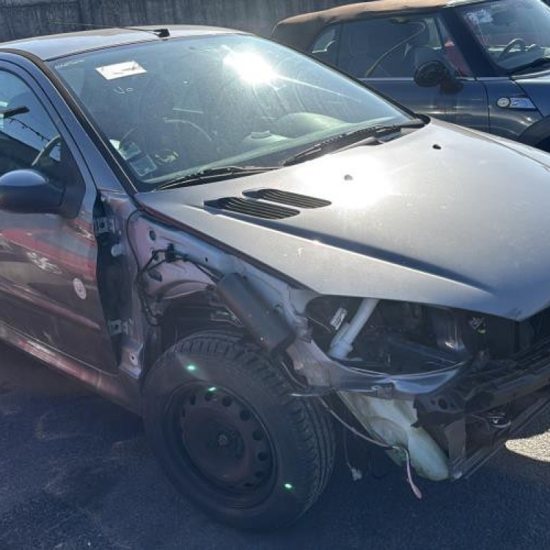 Porte arriere gauche PEUGEOT 206 Photo n°8