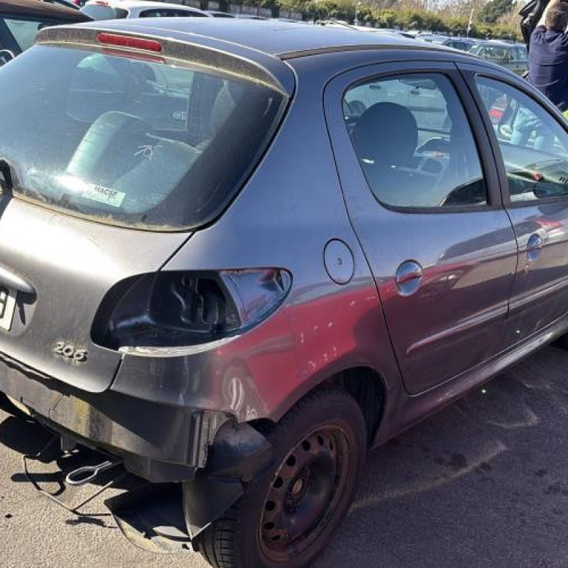 Porte arriere gauche PEUGEOT 206 Photo n°9