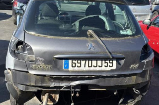 Porte arriere gauche PEUGEOT 206