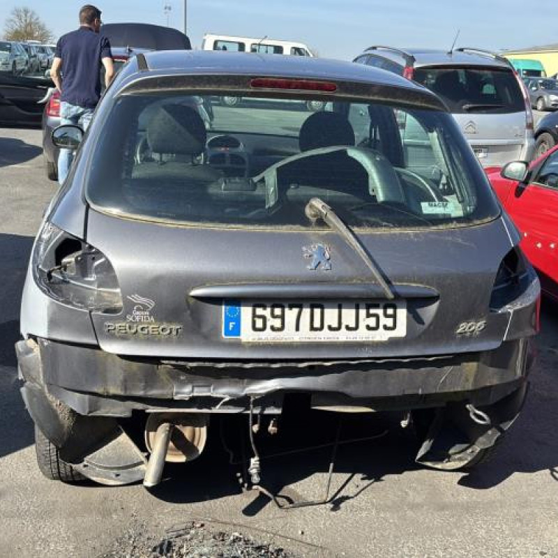 Porte arriere gauche PEUGEOT 206 Photo n°11