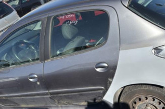 Porte arriere gauche PEUGEOT 206