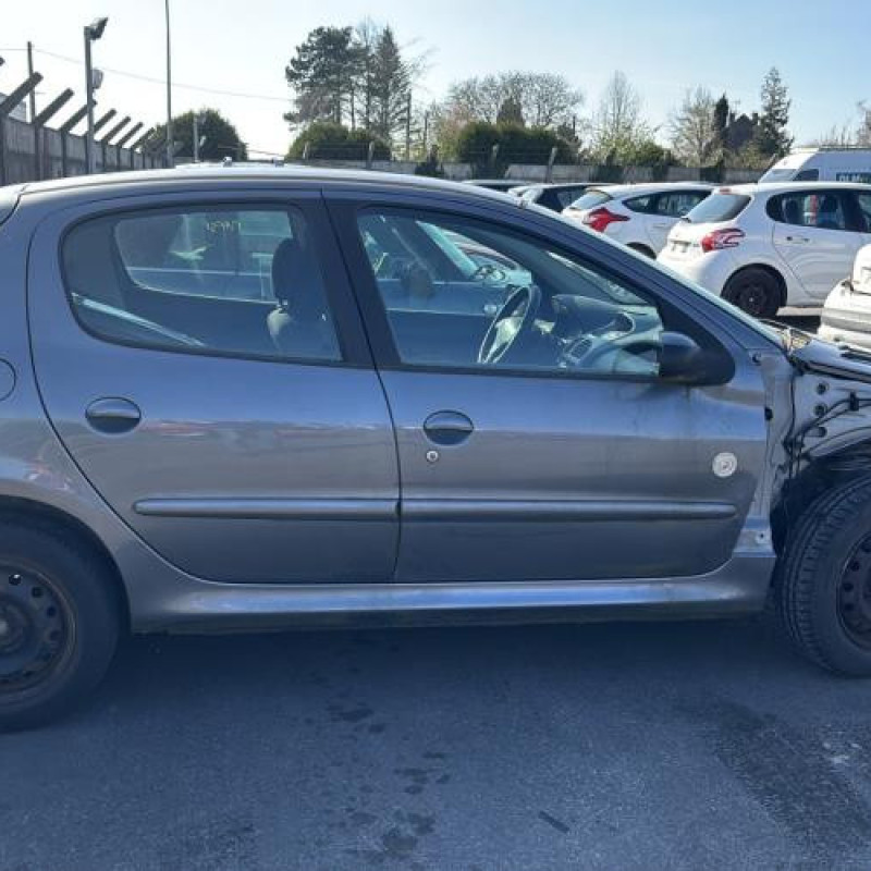 Porte arriere gauche PEUGEOT 206 Photo n°13