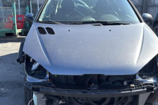 Porte arriere gauche PEUGEOT 206