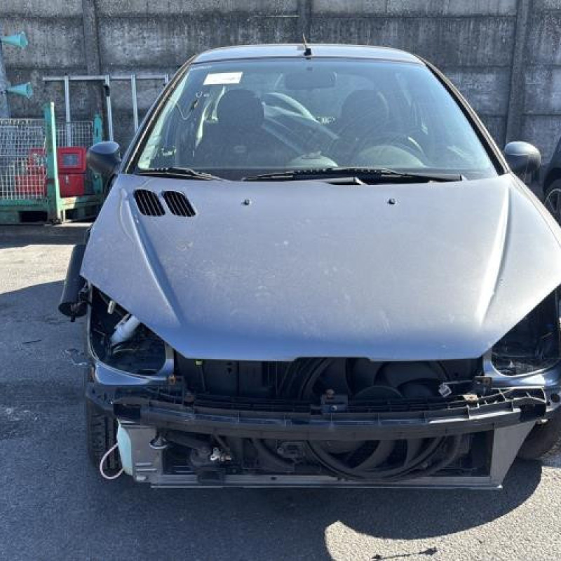 Porte arriere gauche PEUGEOT 206 Photo n°14