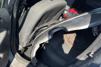 Porte arriere gauche PEUGEOT 206