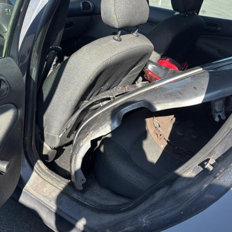 Porte arriere gauche PEUGEOT 206 Photo n°16