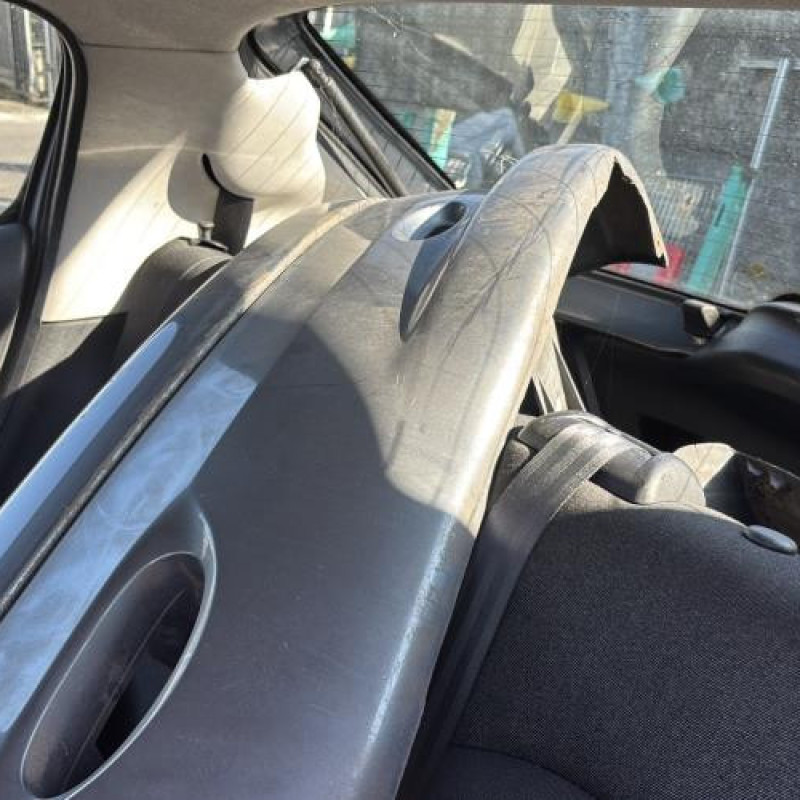 Porte arriere gauche PEUGEOT 206 Photo n°17