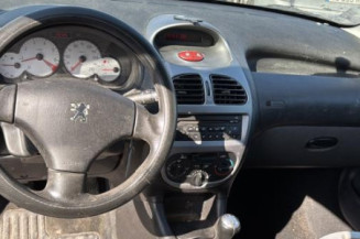 Porte arriere gauche PEUGEOT 206