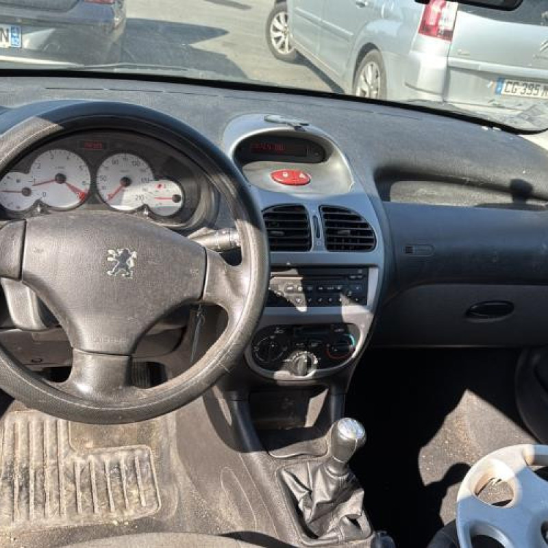 Porte arriere gauche PEUGEOT 206 Photo n°18