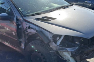 Porte avant gauche PEUGEOT 206