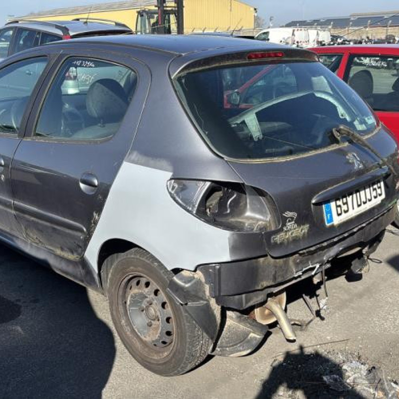 Porte avant gauche PEUGEOT 206 Photo n°10