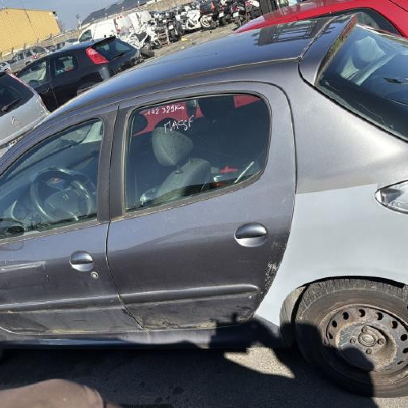 Porte avant gauche PEUGEOT 206 Photo n°12