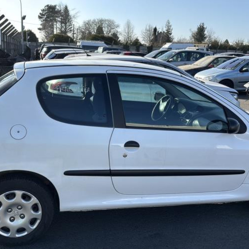 Feu arriere principal droit (feux) PEUGEOT 206 Photo n°9