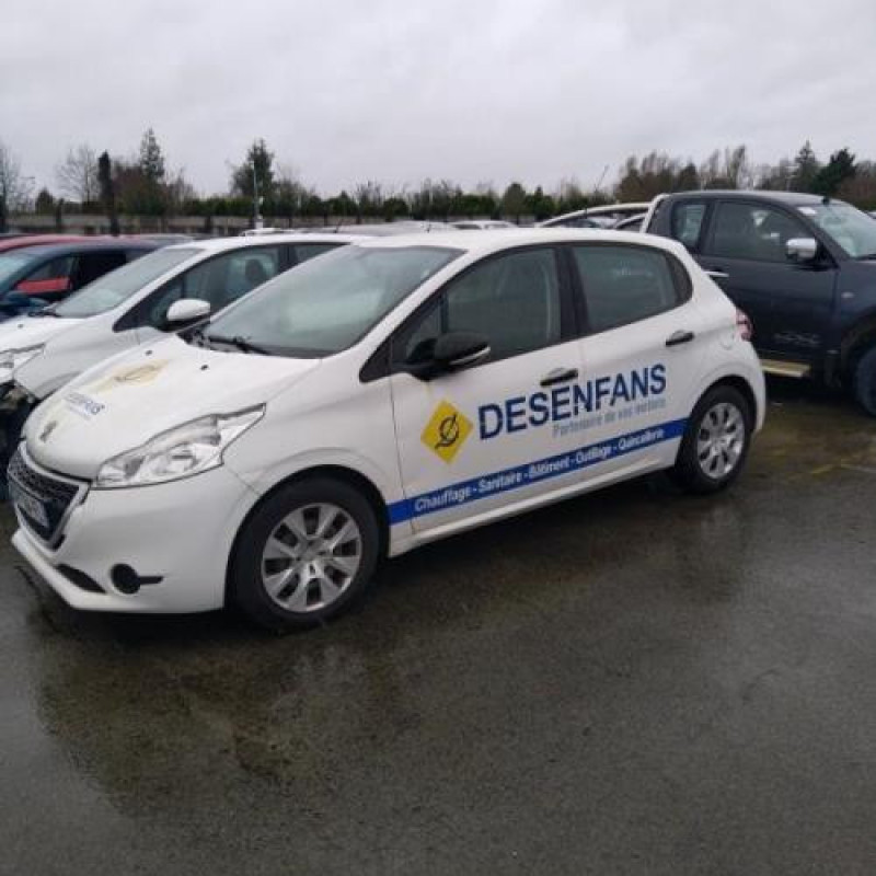 Porte avant droit PEUGEOT 208 1 Photo n°10