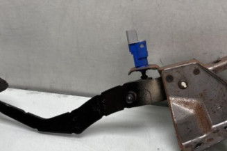 Pedale d'embrayage RENAULT CLIO 3 Photo n°1