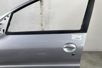 Porte avant gauche PEUGEOT 206 Photo n°1