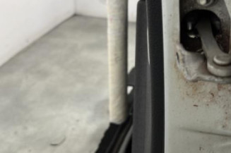 Porte avant gauche PEUGEOT 206