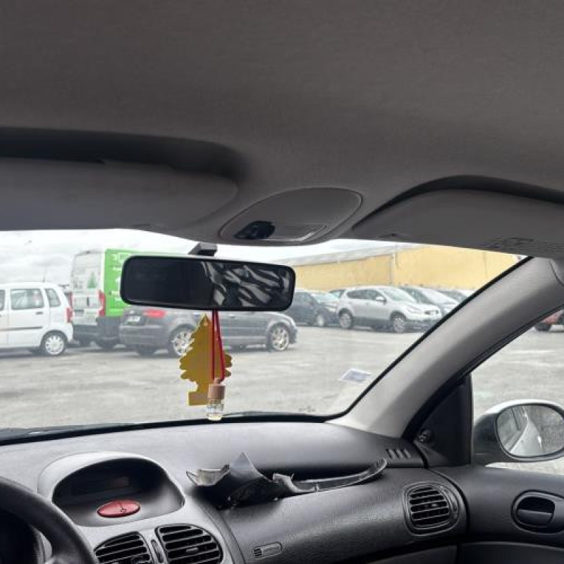 Porte avant droit PEUGEOT 206 Photo n°19