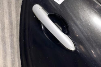 Porte arriere droit RENAULT CLIO 3