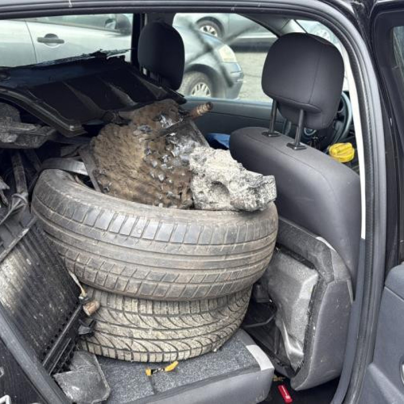 Porte arriere droit RENAULT CLIO 3 Photo n°10