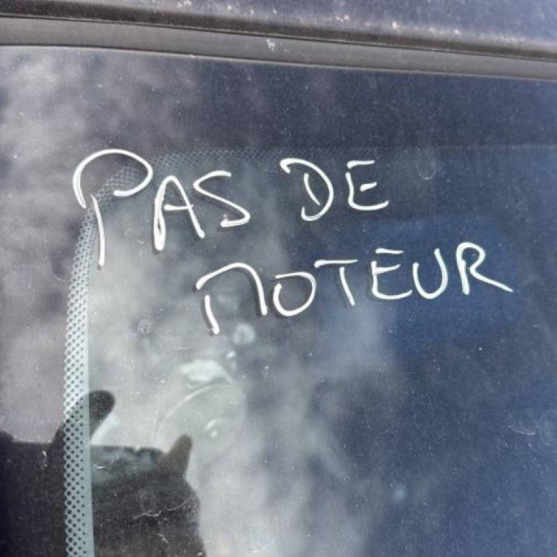 Pedale d'accelerateur RENAULT CLIO 3 Photo n°13